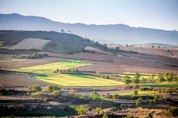 Rioja region Spanish wine – a practical guide