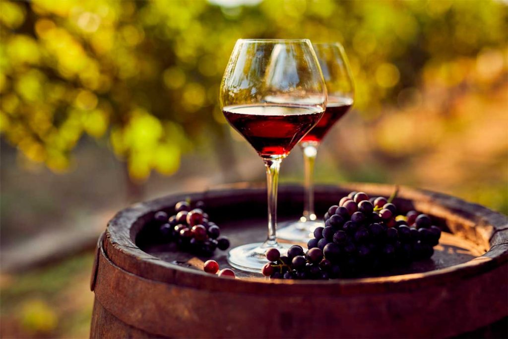 Valpolicella – Discover the wines, grape varieties and the region