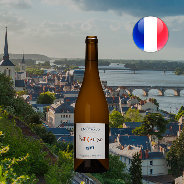 Bouchaud Muscadet Pont Caffino 2020 - Offer