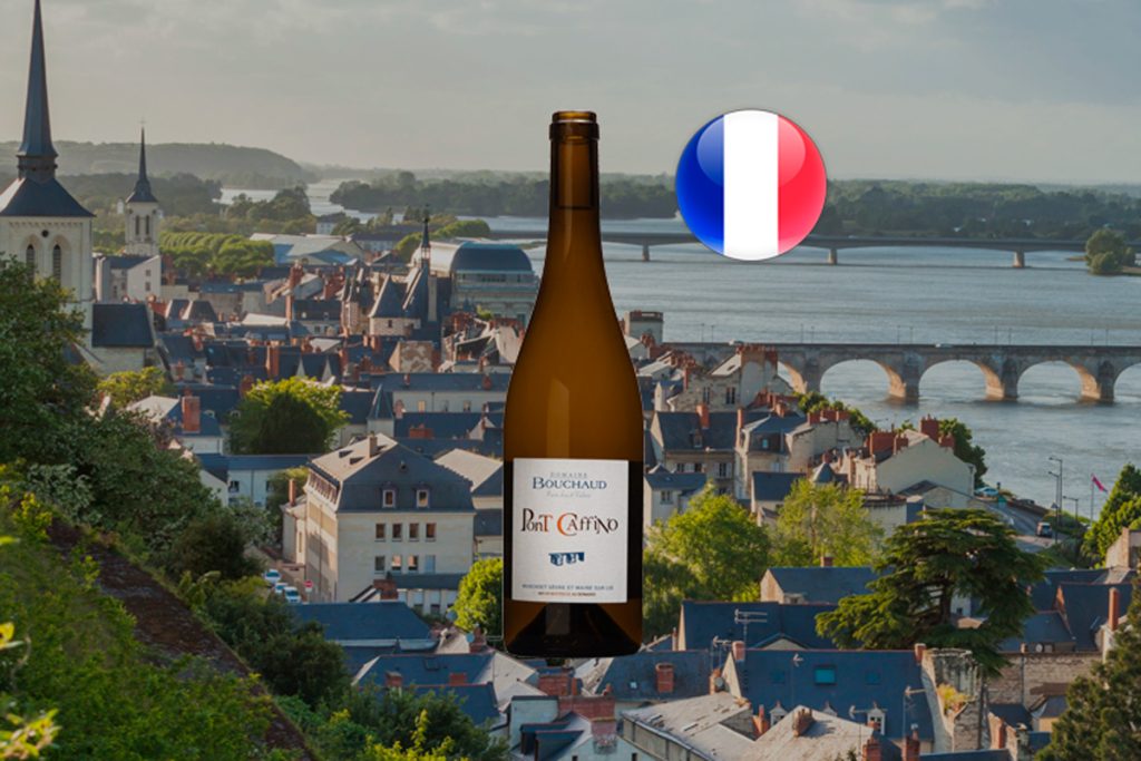 Bouchaud Muscadet Pont Caffino 2020 - Thumbnail