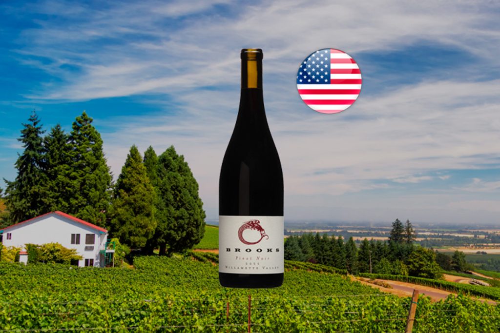 Brooks Willamette Valley Pinot Noir 2022 - Thumbnail