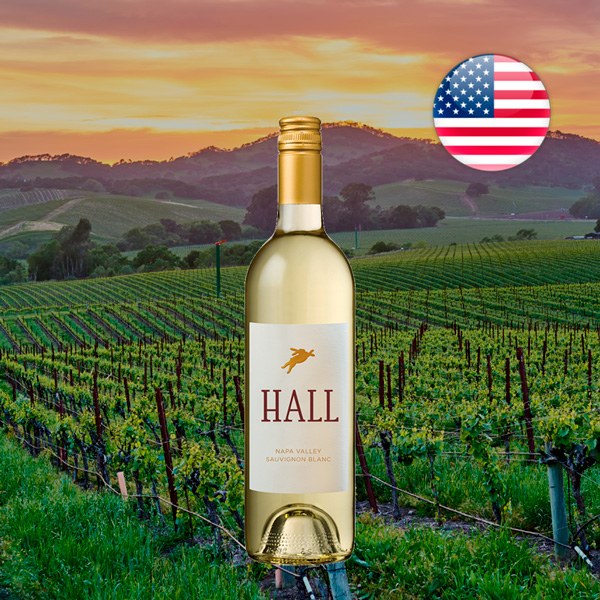 Hall Late Harvest Sauvignon Blanc 2007 - Offer