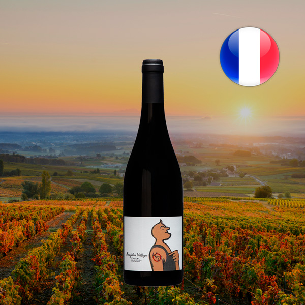 Karim Vionnet KV Beaujolais Villages 2020 - Offer