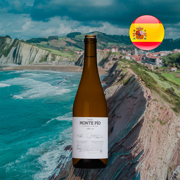 Monte Pio Raxeira Albariño 2022 - Offer