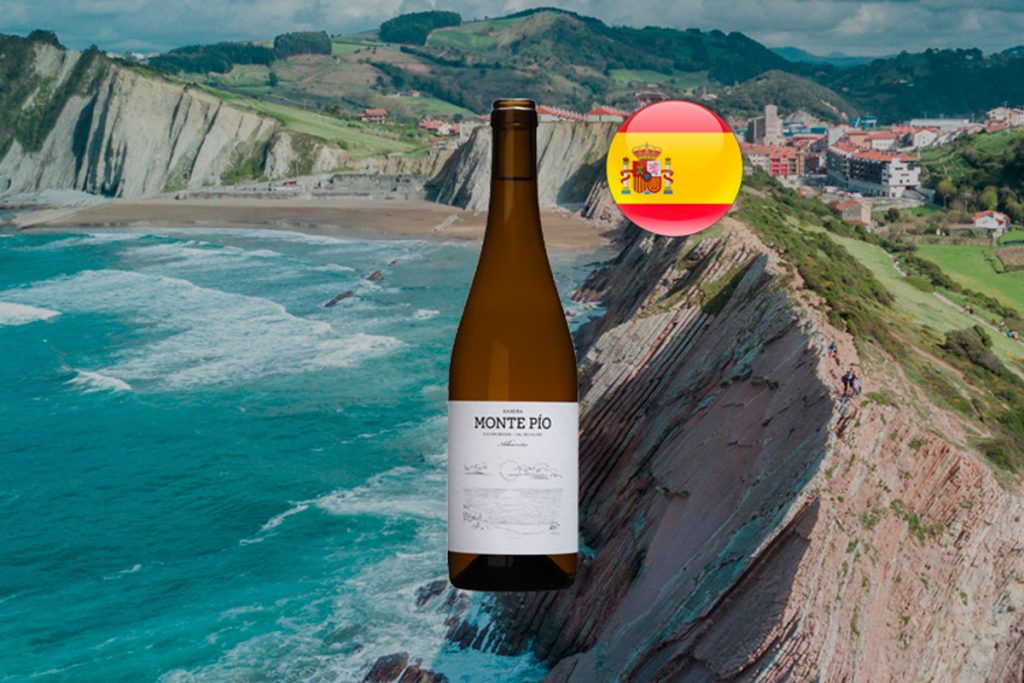 Monte Pio Raxeira Albariño 2022 - Thumbnail