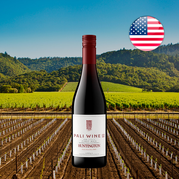 Pali Wine Co Huntington Pinot Noir 2022 - Offer