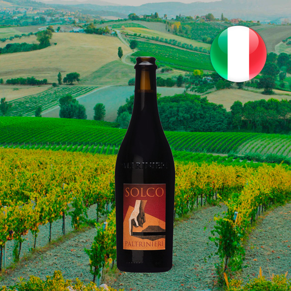 Paltrinieri Solco Lambrusco - Offer