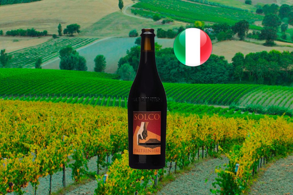 Paltrinieri Solco Lambrusco - Thumbnail