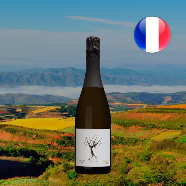 Vincent Gross Prelude Cremant d'Alsace 2020 - Offer