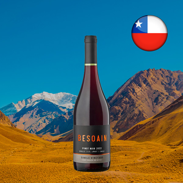 Lafken Besoain Pinot Noir 2022 - Offer