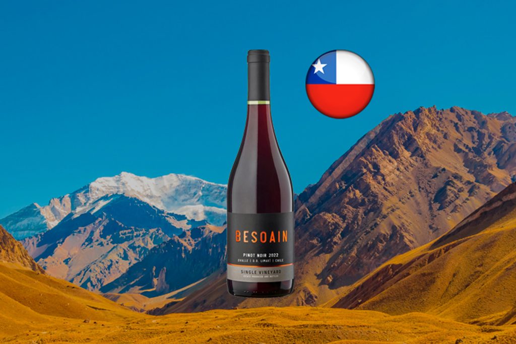 Lafken Besoain Pinot Noir 2022 - Thumbnail