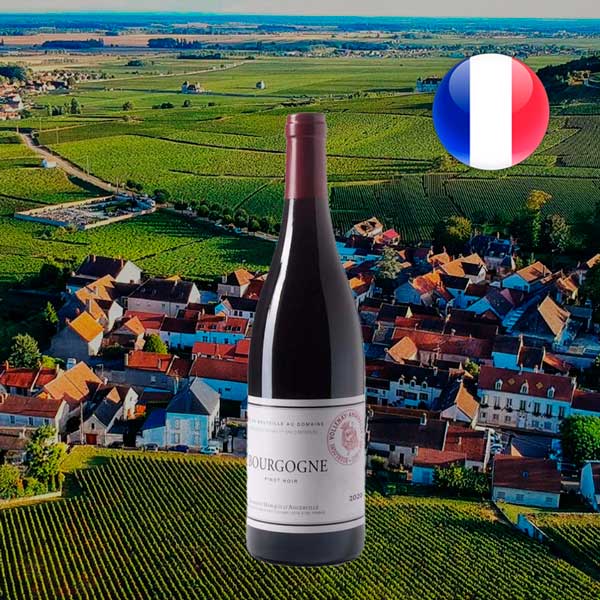 Marquis d'Angerville Bourgogne Rouge 2020 - Offer