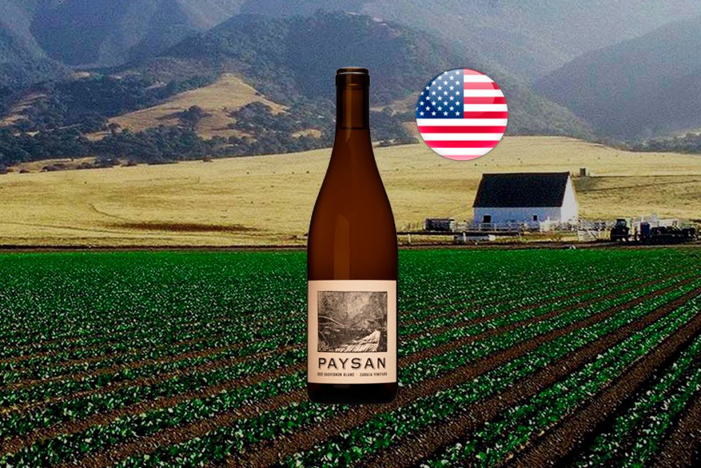 Paysan Sauvignon Blanc Zabala Vineyard 2022 - Thumbnail