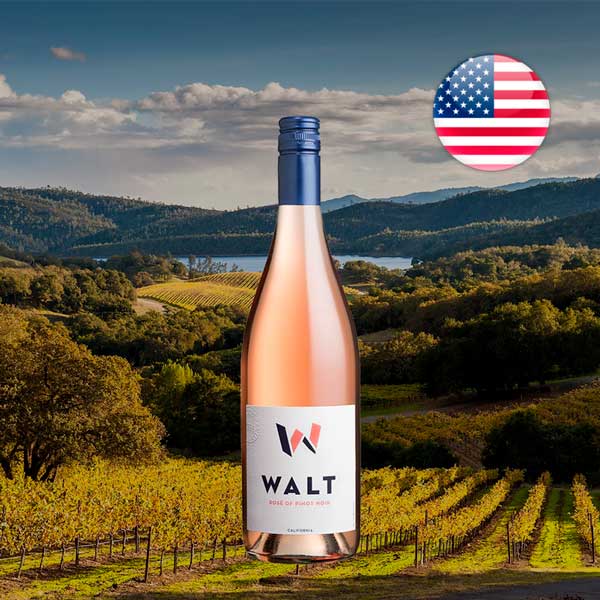 Walt Rosé Of Pinot Noir 2023 - Offer