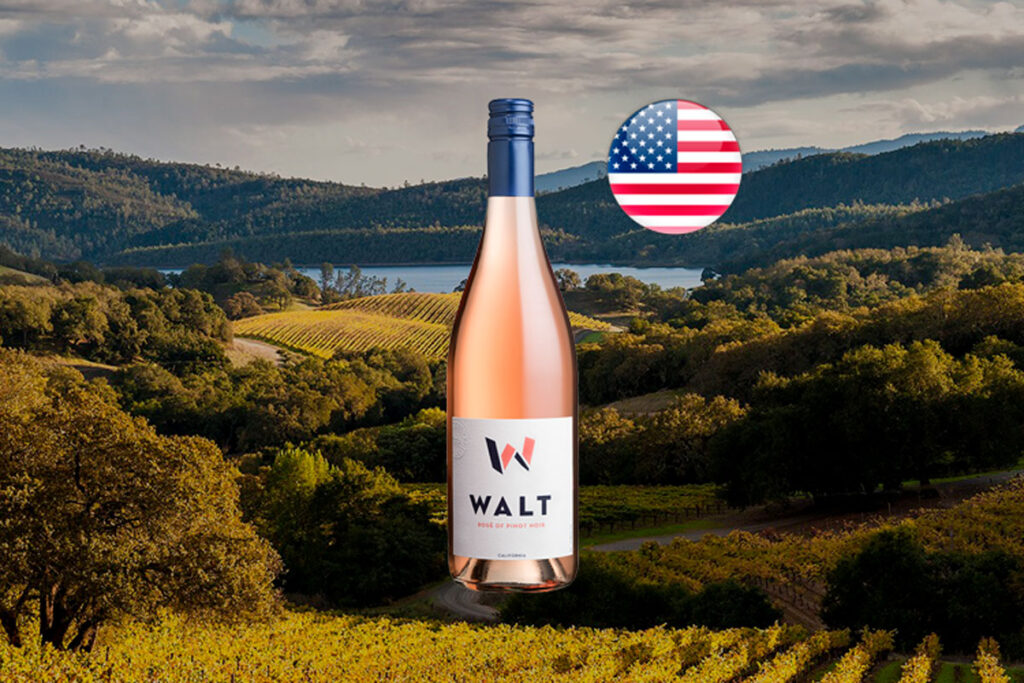 Walt Rosé Of Pinot Noir 2023 - Thumbnail