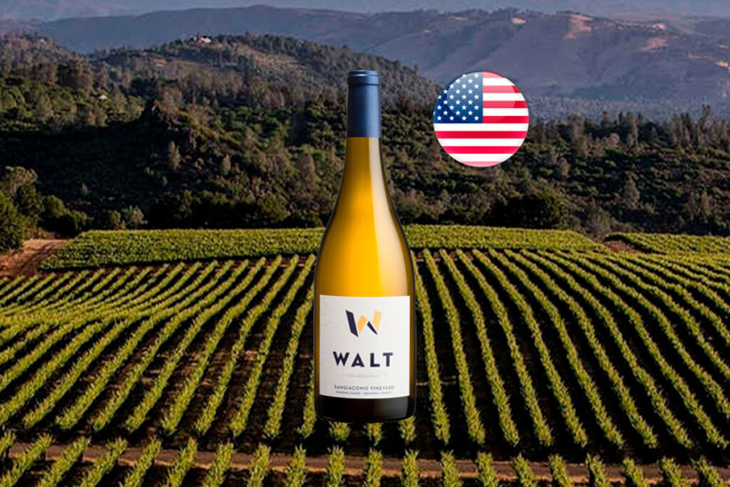 Walt Sangiacomo Chardonnay 2020 - Thumbnail