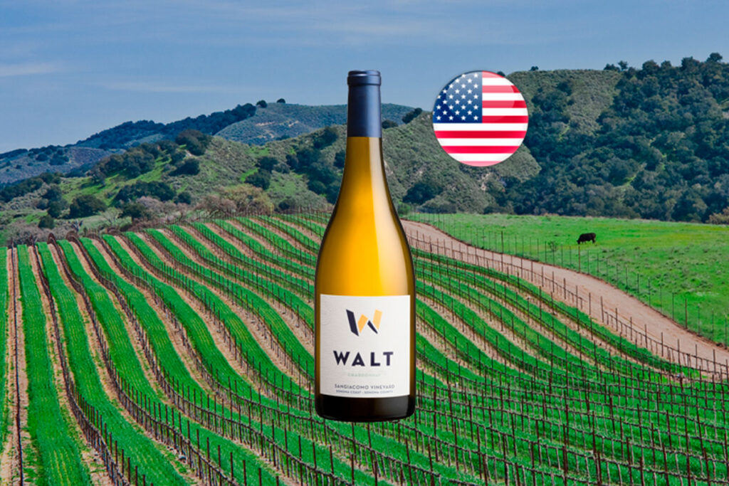 Walt Sangiacomo Chardonnay 2021 - Thumbnail