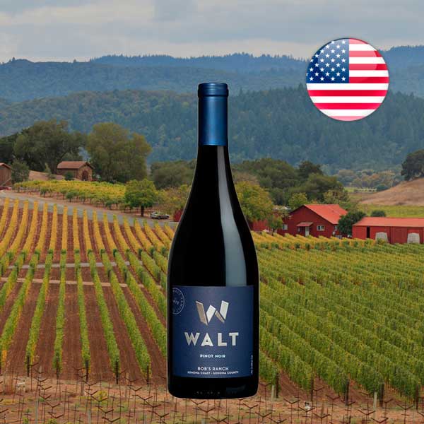 Walt Bob's Ranch Pinot Noir 2021 - Offer