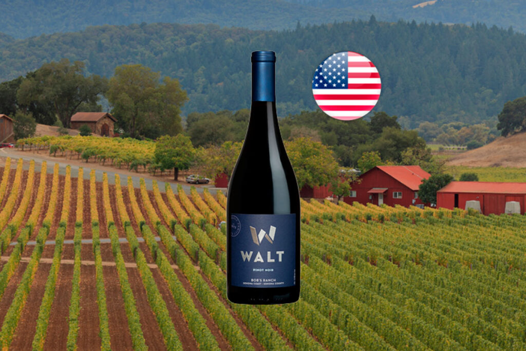 Walt Bob's Ranch Pinot Noir 2021 - Thumbnail