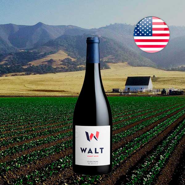 Walt Clos Pepe Pinot Noir 2020 - Offer