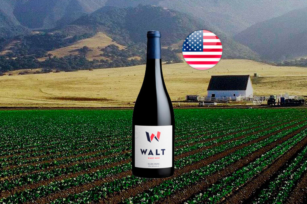 Walt Clos Pepe Pinot Noir 2020 - Thumbnail