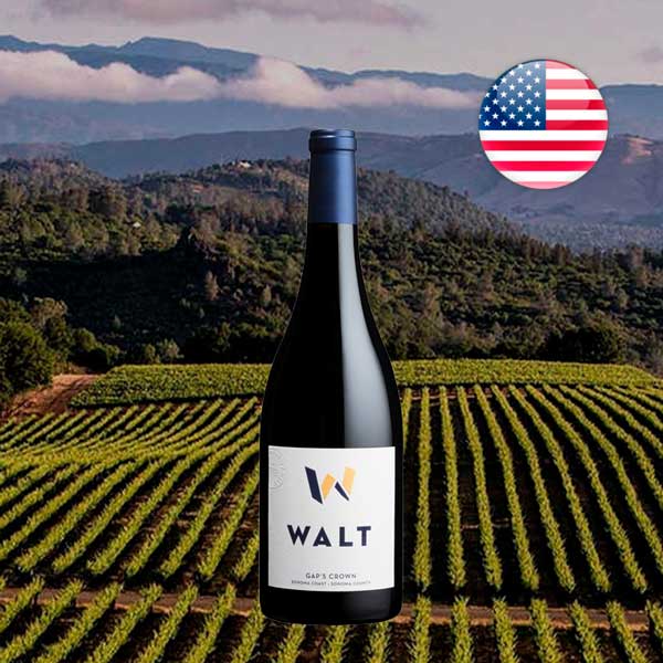 Walt Gap's Crown Pinot Noir 2022 - Offer