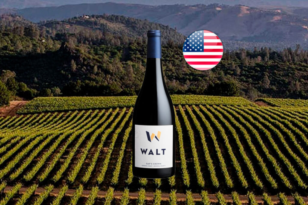 Walt Gap's Crown Pinot Noir 2022 - Thumbnail