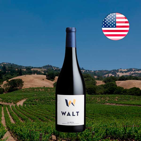 Walt La Brisa Pinot Noir 2021 - Offer