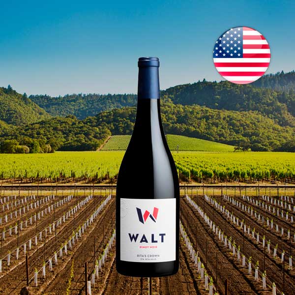 Walt Rita's Crown Pinot Noir 2022 - Offer