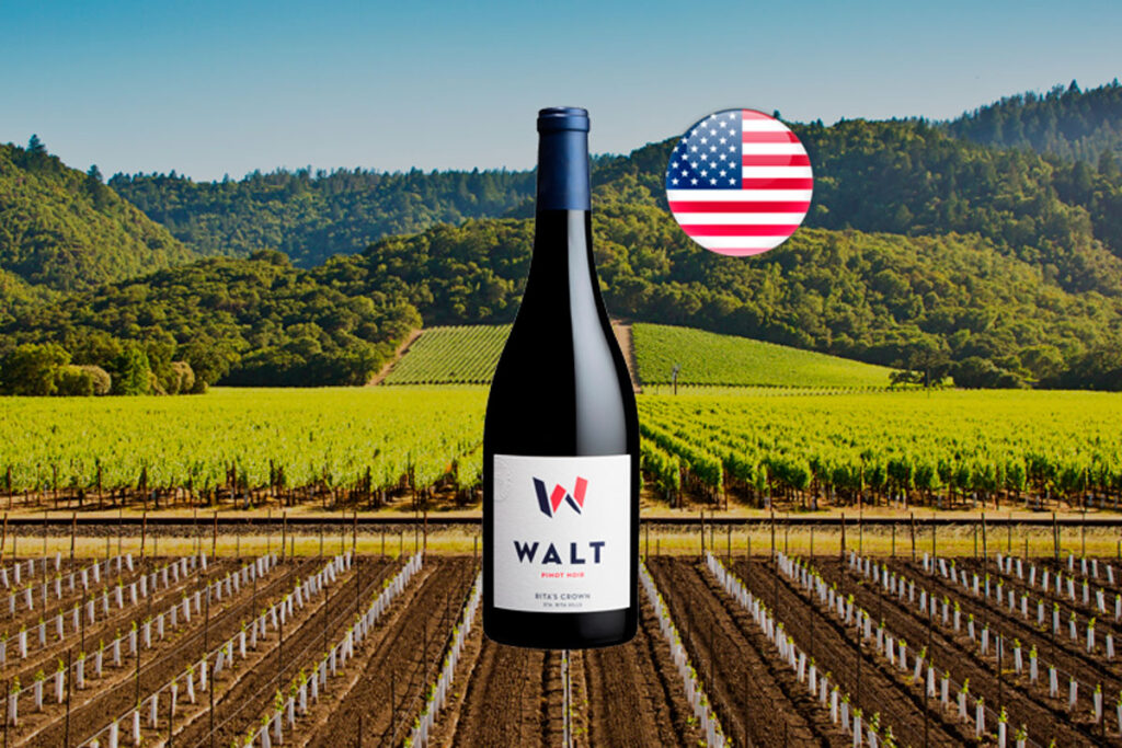 Walt Rita's Crown Pinot Noir 2022 - Thumbnail