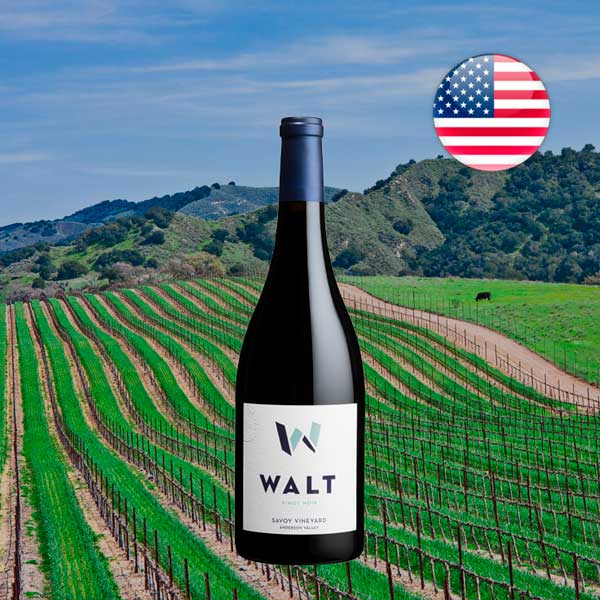 Walt Savoy Pinot Noir 2018 - Offer