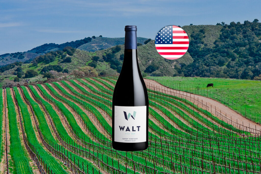 Walt Savoy Pinot Noir 2018 - Thumbnail