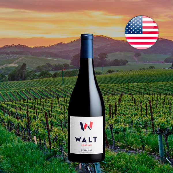 Walt Sierra Mar Pinot Noir 2021 - Offer