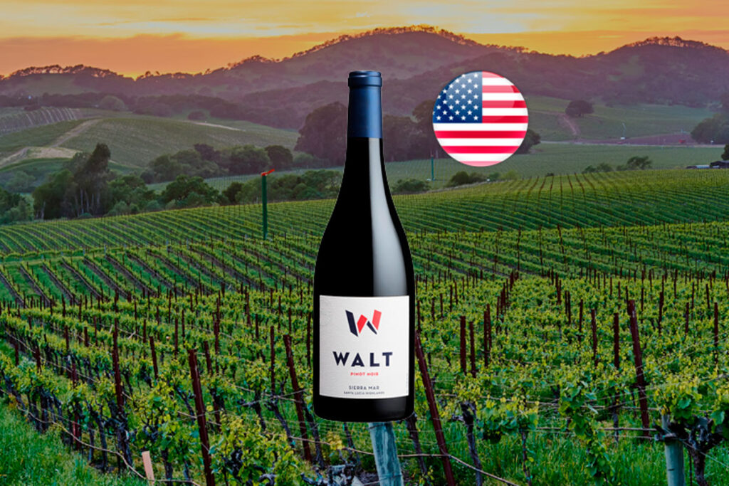 Walt Sierra Mar Pinot Noir 2021 - Thumbnail