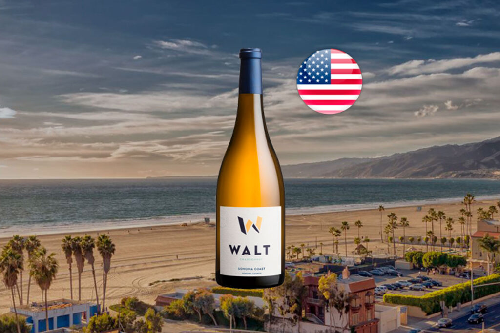 Walt Sonoma Coast Chardonnay 2021 - Thumbnail