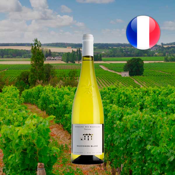 Domaine des Mazelles Thézée Sauvignon Blanc 2023 - Offer