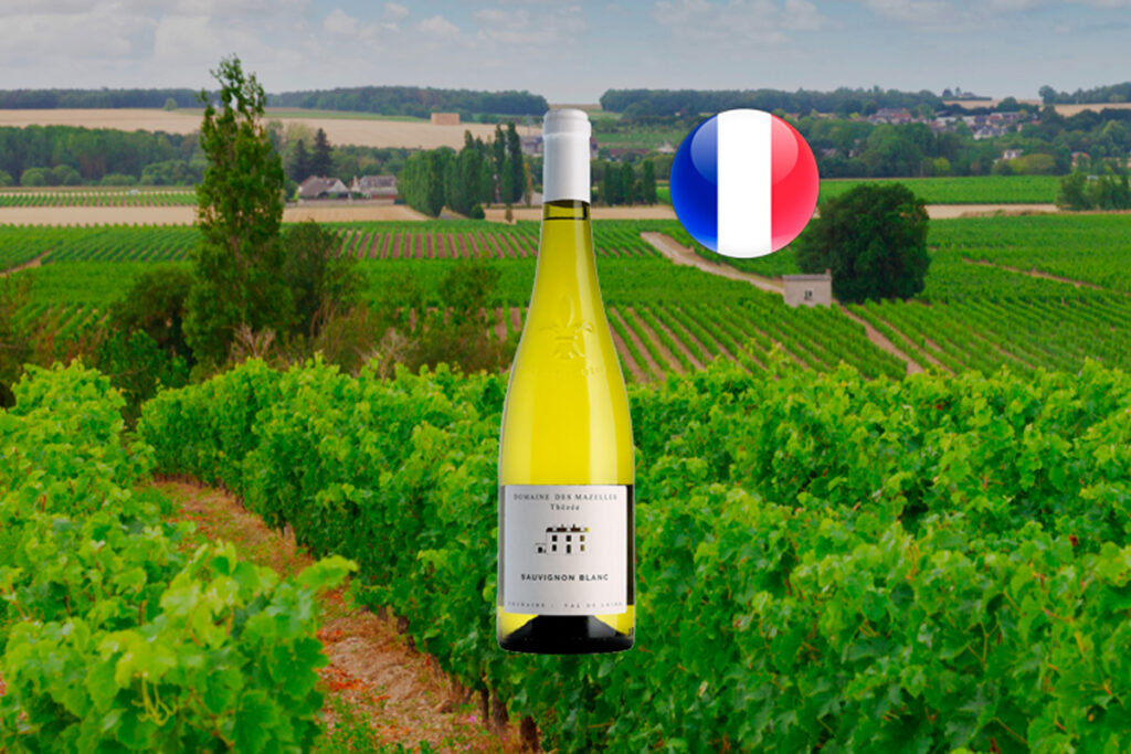 Domaine des Mazelles Thézée Sauvignon Blanc 2023 - Thumbnail