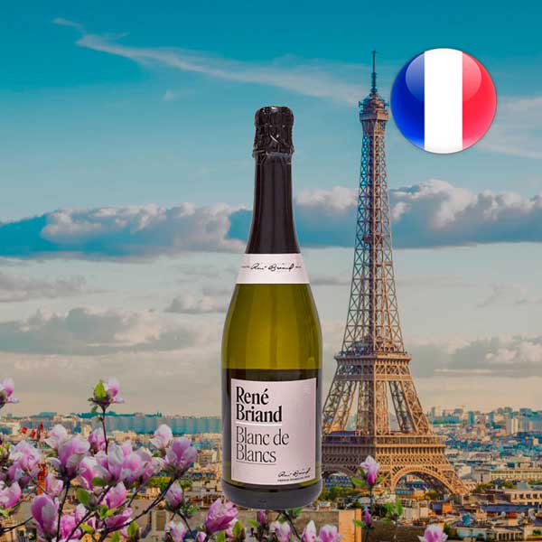 René Briand Blanc de Blancs Brut - Offer