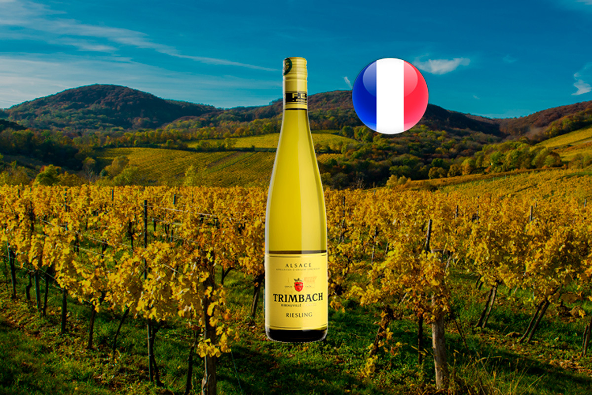 Trimbach Riesling 2021 - French White Wine - Center Gourmet International