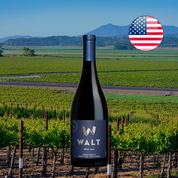 Walt Bob's Ranch Pinot Noir 2022 - American Red Wine - Offer