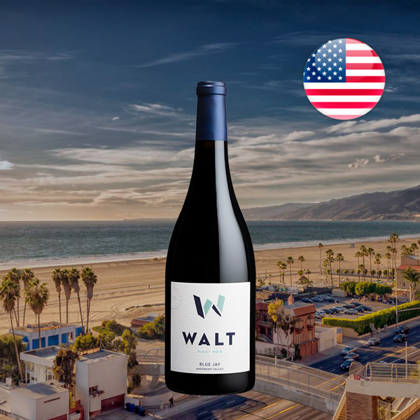 Walt La Brisa Pinot Noir 2022 - Offer